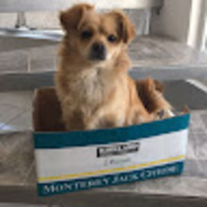 Meet your Posher, Noelly